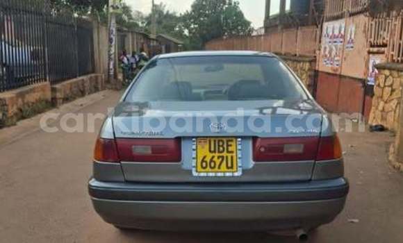 Gura Yakoze Toyota Premio Other Imodoka i Kampala mu Uganda Gura Yakoze Toyota Premio Other Imodoka i Kampala mu Uganda