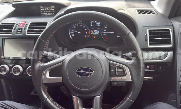 Buy Used Subaru Forester Black Car in Kabale in Uganda