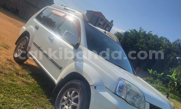 Nunua Ilio tumika Nissan X–Trail Nyeupe Gari ndani ya Kampala nchini Uganda Nunua Ilio tumika Nissan X–Trail Nyeupe Gari ndani ya Kampala nchini Uganda