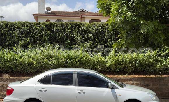 Buy Used Toyota Premio Other Car in Kampala in Uganda Buy Used Toyota Premio Other Car in Kampala in Uganda