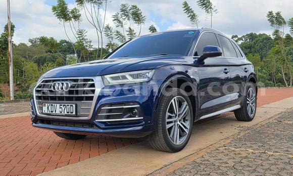 Buy Used Audi Q5 Black Car in Kampala in Uganda Buy Used Audi Q5 Black Car in Kampala in Uganda