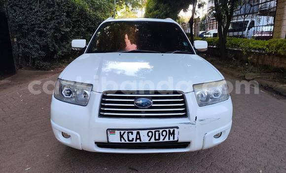 Buy Used Subaru Forester White Car in Kampala in Uganda Buy Used Subaru Forester White Car in Kampala in Uganda