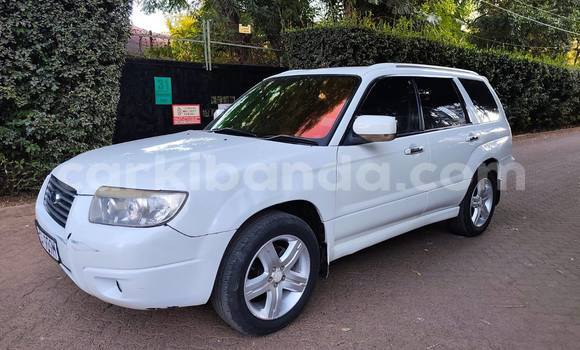 Buy Used Subaru Forester White Car in Kampala in Uganda Buy Used Subaru Forester White Car in Kampala in Uganda