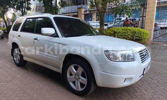 Buy Used Subaru Forester White Car in Kampala in Uganda Buy Used Subaru Forester White Car in Kampala in Uganda