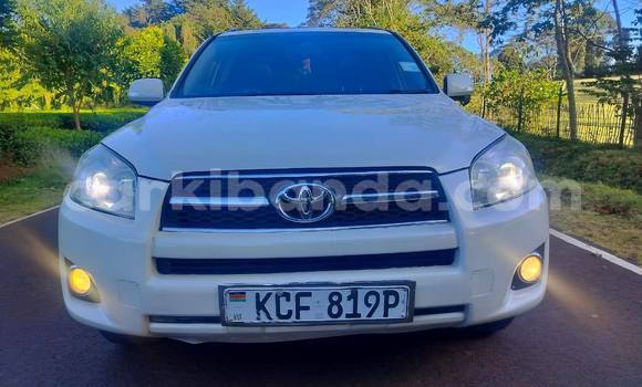 Buy Used Toyota RAV4 White Car in Kampala in Uganda Buy Used Toyota RAV4 White Car in Kampala in Uganda