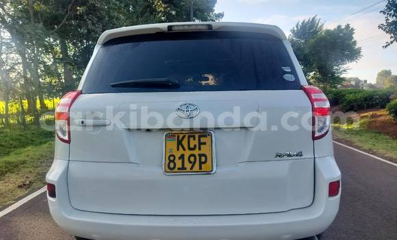 Buy Used Toyota RAV4 White Car in Kampala in Uganda Buy Used Toyota RAV4 White Car in Kampala in Uganda
