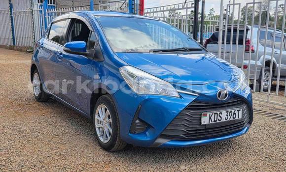 Buy Used Toyota Vitz Blue Car in Kampala in Uganda Buy Used Toyota Vitz Blue Car in Kampala in Uganda