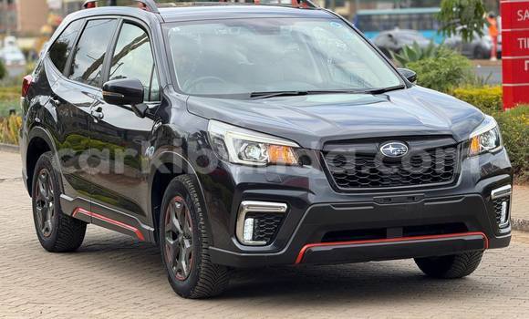 Buy Used Subaru Forester Black Car in Kampala in Uganda Buy Used Subaru Forester Black Car in Kampala in Uganda