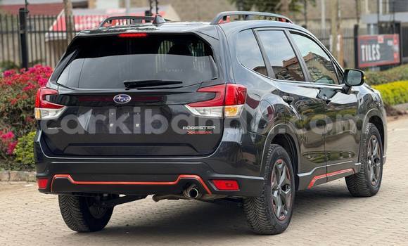 Buy Used Subaru Forester Black Car in Kampala in Uganda Buy Used Subaru Forester Black Car in Kampala in Uganda