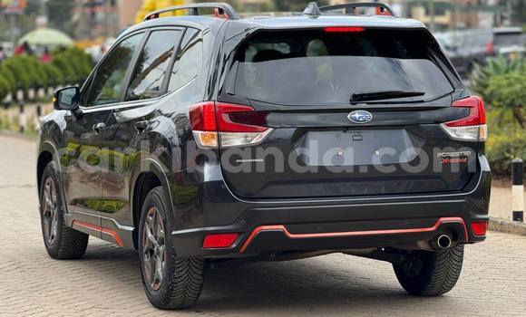 Buy Used Subaru Forester Black Car in Kampala in Uganda Buy Used Subaru Forester Black Car in Kampala in Uganda