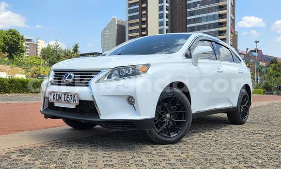 Buy Used Lexus RX 350 White Car in Kampala in Uganda Buy Used Lexus RX 350 White Car in Kampala in Uganda