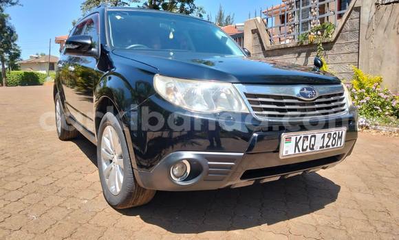 Buy Used Subaru Forester Black Car in Kampala in Uganda Buy Used Subaru Forester Black Car in Kampala in Uganda
