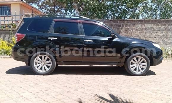 Buy Used Subaru Forester Black Car in Kampala in Uganda Buy Used Subaru Forester Black Car in Kampala in Uganda