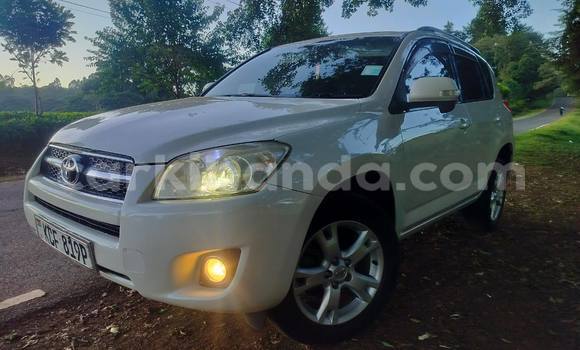 Buy Used Toyota RAV4 White Car in Kampala in Uganda Buy Used Toyota RAV4 White Car in Kampala in Uganda