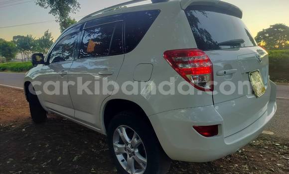 Buy Used Toyota RAV4 White Car in Kampala in Uganda Buy Used Toyota RAV4 White Car in Kampala in Uganda