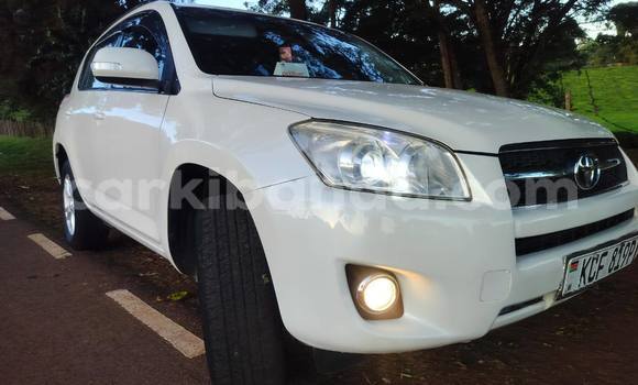 Buy Used Toyota RAV4 White Car in Kampala in Uganda Buy Used Toyota RAV4 White Car in Kampala in Uganda