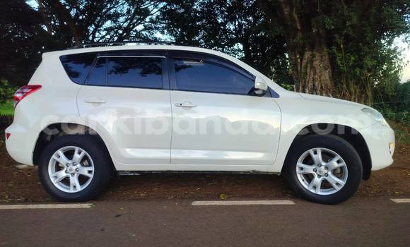 Buy Used Toyota RAV4 White Car in Kampala in Uganda Buy Used Toyota RAV4 White Car in Kampala in Uganda