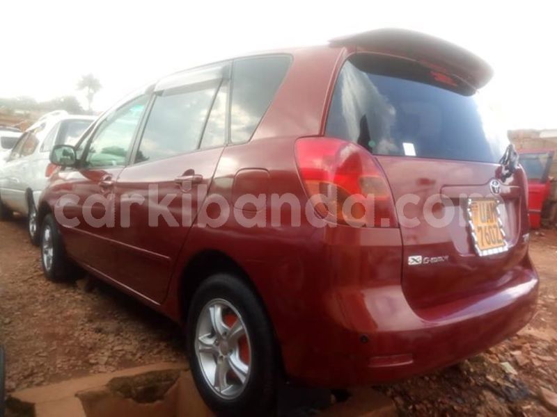 Big with watermark 51161278 625755864519767 6108242101131018240 n