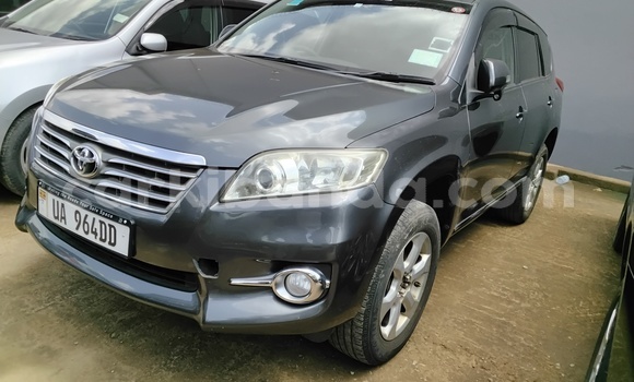 Buy Import Toyota Vanguard Brown Car in Kampala in Uganda