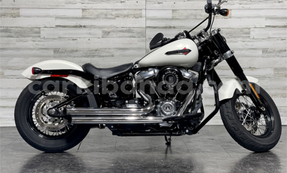 Buy Used Harley Davidson Softail White Bike in Arua in Uganda
