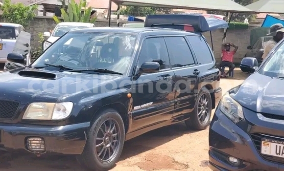 Gura Yakoze Subaru Forester Other Imodoka i Bugembe mu Eastern Gura Yakoze Subaru Forester Other Imodoka i Bugembe mu Eastern