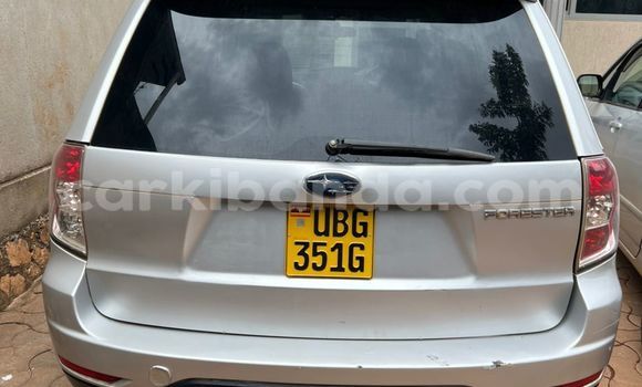 Buy Used Subaru Forester Silver Car in Kampala in Uganda Buy Used Subaru Forester Silver Car in Kampala in Uganda