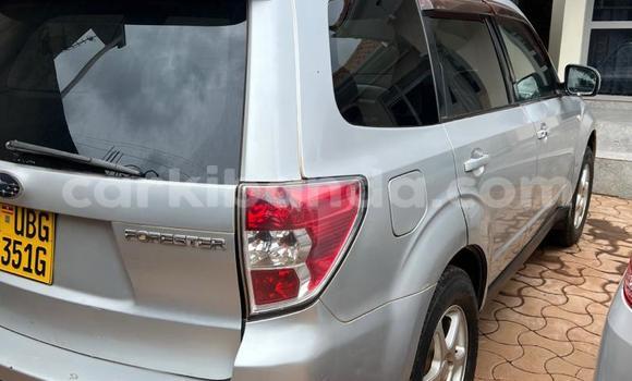 Buy Used Subaru Forester Silver Car in Kampala in Uganda Buy Used Subaru Forester Silver Car in Kampala in Uganda