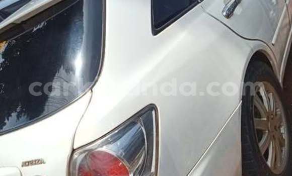 Acheter Occasion Voiture Toyota Altezza Autre à Kampala, Ouganda Acheter Occasion Voiture Toyota Altezza Autre à Kampala, Ouganda