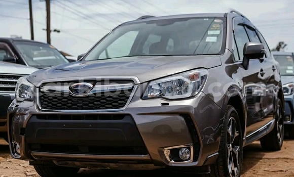 Buy Used Subaru Forester Other Car in Kampala in Uganda Buy Used Subaru Forester Other Car in Kampala in Uganda