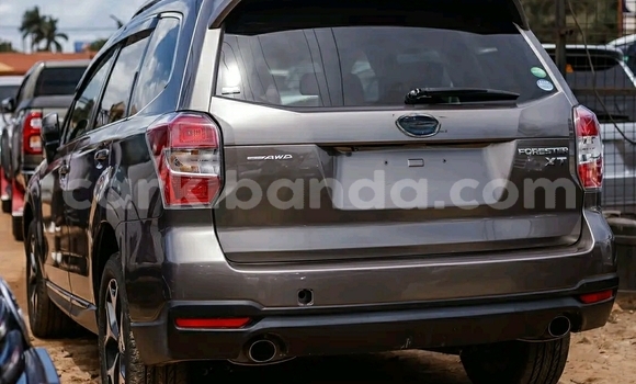 Buy Used Subaru Forester Other Car in Kampala in Uganda Buy Used Subaru Forester Other Car in Kampala in Uganda