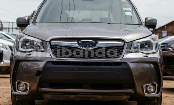 Buy Used Subaru Forester Other Car in Kampala in Uganda Buy Used Subaru Forester Other Car in Kampala in Uganda