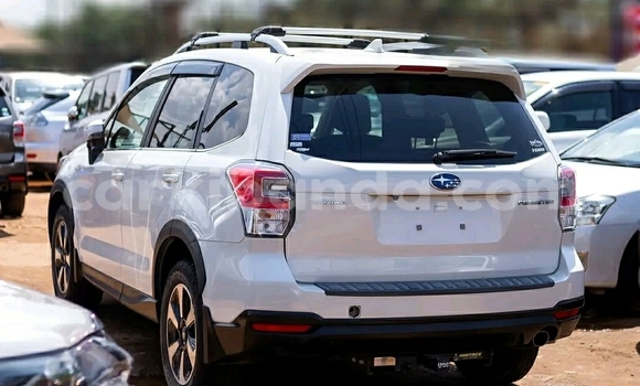 Buy Used Subaru Forester White Car in Kampala in Uganda Buy Used Subaru Forester White Car in Kampala in Uganda