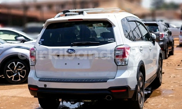 Buy Used Subaru Forester White Car in Kampala in Uganda Buy Used Subaru Forester White Car in Kampala in Uganda