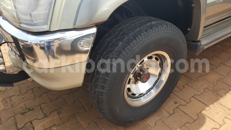 Big with watermark 20190206 142356