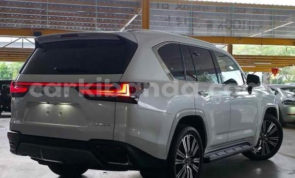 Gura Yakoze Lexus LX White Imodoka i Kampala mu Uganda Gura Yakoze Lexus LX White Imodoka i Kampala mu Uganda