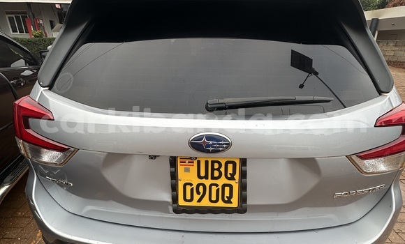 Buy Used Subaru Forester Silver Car in Kampala in Uganda Buy Used Subaru Forester Silver Car in Kampala in Uganda