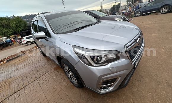 Buy Used Subaru Forester Silver Car in Kampala in Uganda Buy Used Subaru Forester Silver Car in Kampala in Uganda