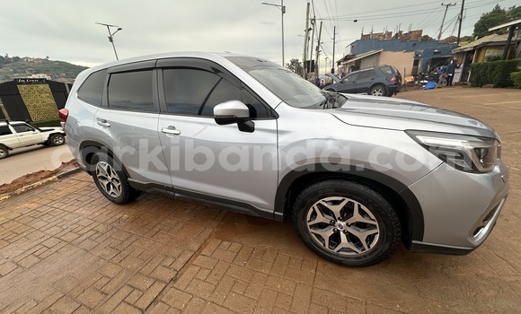 Buy Used Subaru Forester Silver Car in Kampala in Uganda Buy Used Subaru Forester Silver Car in Kampala in Uganda