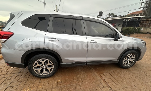 Buy Used Subaru Forester Silver Car in Kampala in Uganda Buy Used Subaru Forester Silver Car in Kampala in Uganda