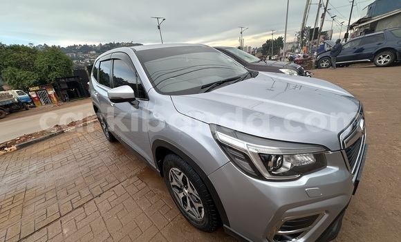 Buy Used Subaru Forester Silver Car in Kampala in Uganda Buy Used Subaru Forester Silver Car in Kampala in Uganda