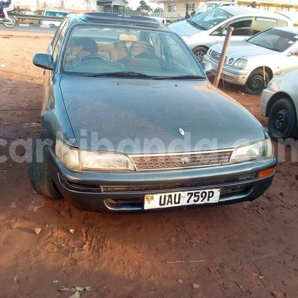 Big with watermark 51726510 236318087317614 5666388381253238784 n