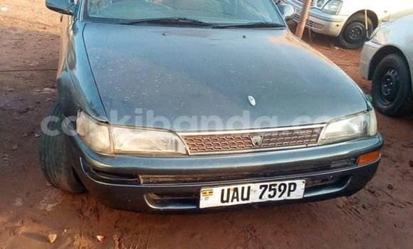 Buy Used Toyota Corolla Other Car in Kampala in Uganda Buy Used Toyota Corolla Other Car in Kampala in Uganda