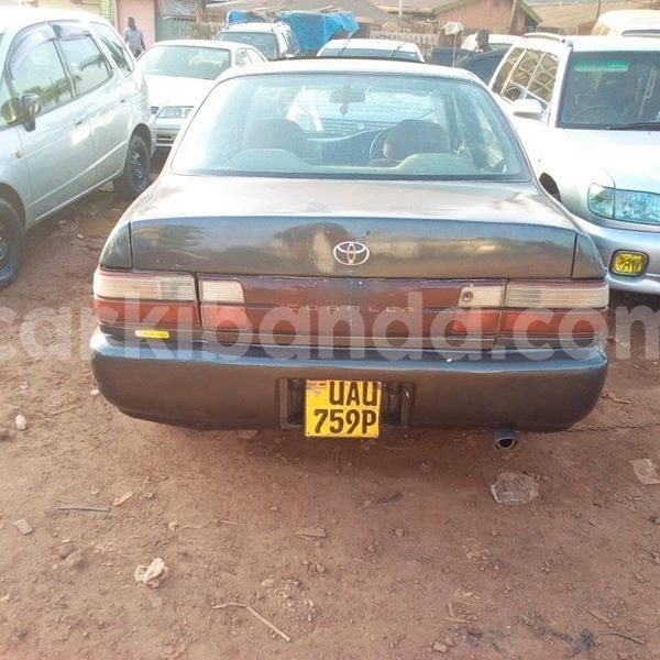 Big with watermark 51670487 236318297317593 4024034599985217536 n