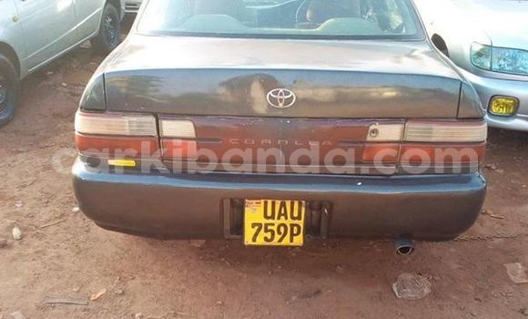 Buy Used Toyota Corolla Other Car in Kampala in Uganda Buy Used Toyota Corolla Other Car in Kampala in Uganda