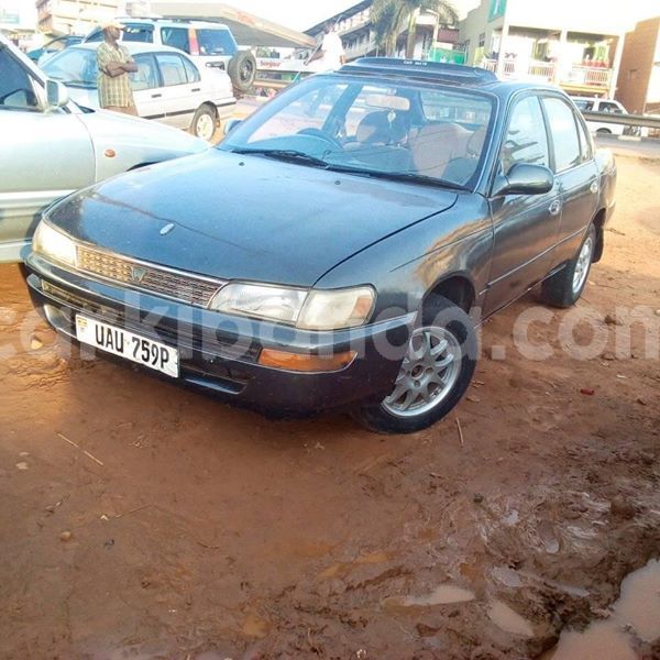 Big with watermark 51565942 236317947317628 5522793021659152384 n