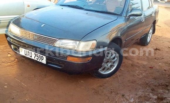 Buy Used Toyota Corolla Other Car in Kampala in Uganda Buy Used Toyota Corolla Other Car in Kampala in Uganda