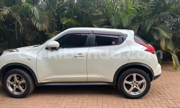 Nunua Ilio tumika Nissan Juke Nyingine Gari ndani ya Kampala nchini Uganda Nunua Ilio tumika Nissan Juke Nyingine Gari ndani ya Kampala nchini Uganda