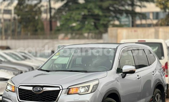 Buy Used Subaru Forester Silver Car in Kampala in Uganda Buy Used Subaru Forester Silver Car in Kampala in Uganda