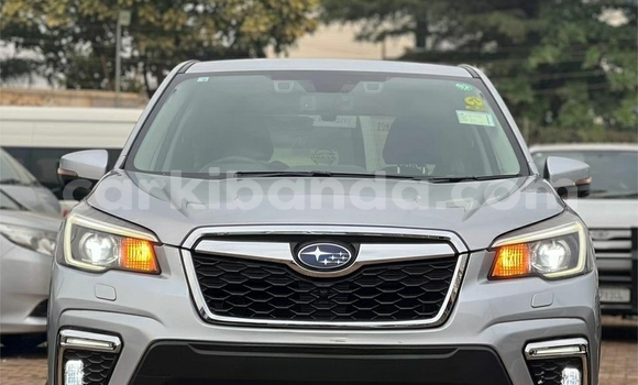 Buy Used Subaru Forester Silver Car in Kampala in Uganda Buy Used Subaru Forester Silver Car in Kampala in Uganda