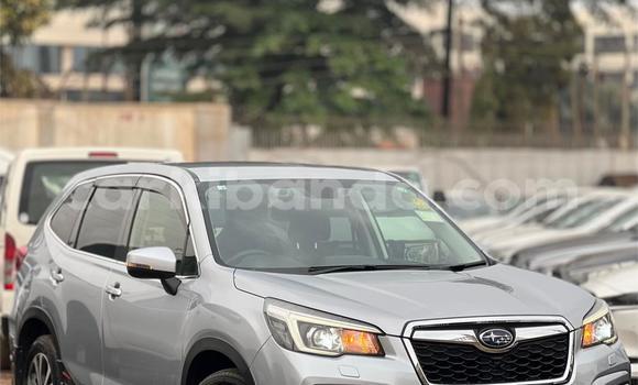 Buy Used Subaru Forester Silver Car in Kampala in Uganda Buy Used Subaru Forester Silver Car in Kampala in Uganda